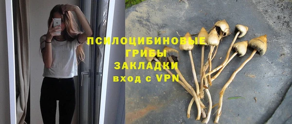 мяу мяу мука Алзамай